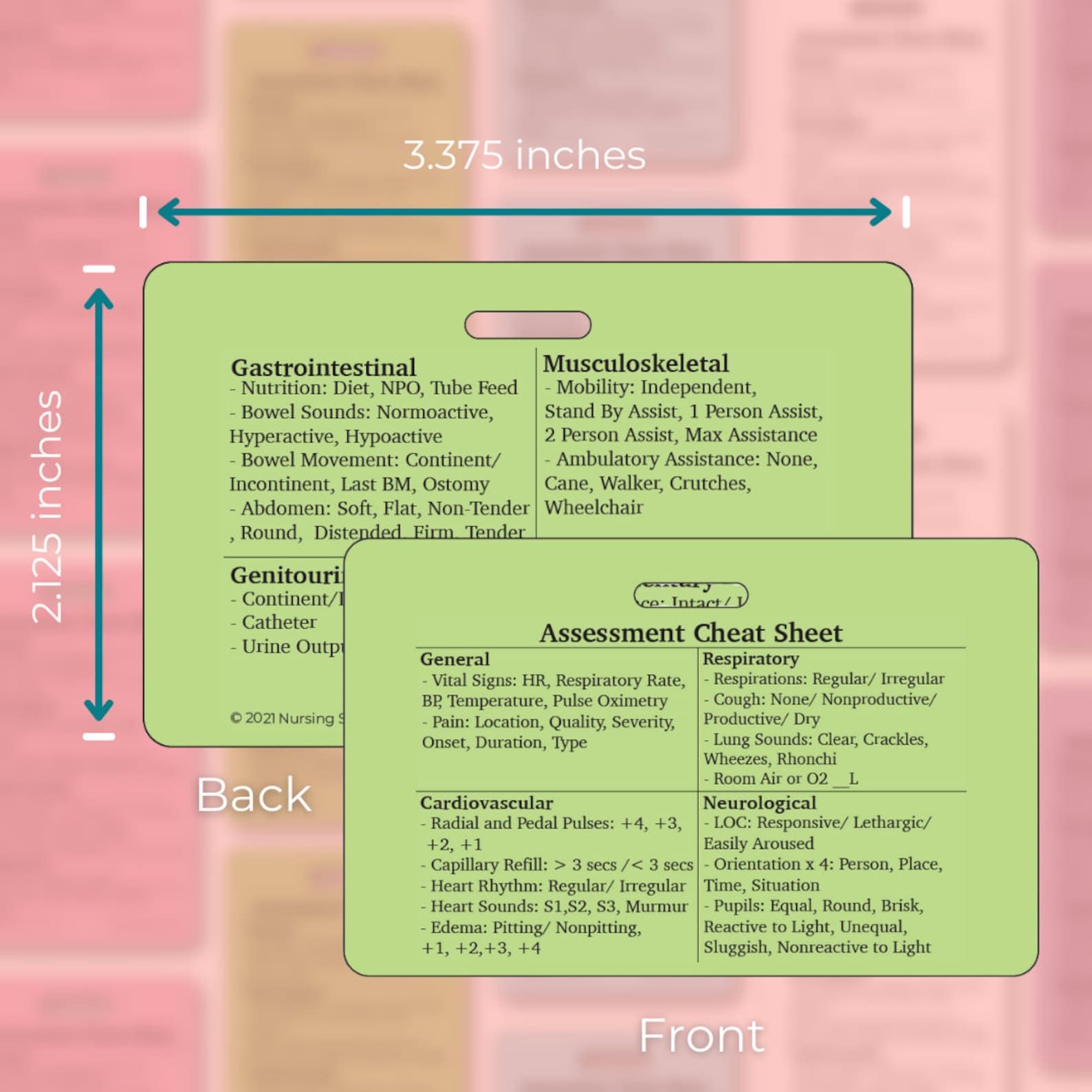 Head to Toe Assessment Nursing Reference Cards | Nursing Badge Cards ...