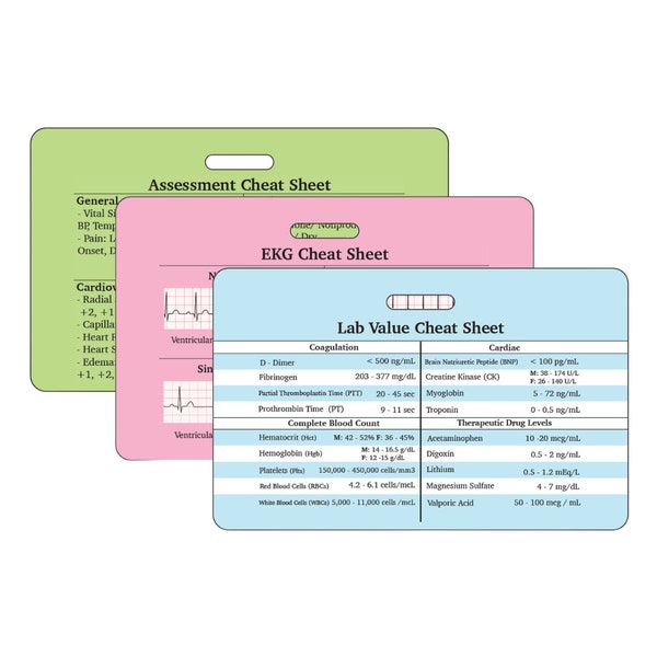Horizontal Reference Card Bundle | Head to Toe Assessment | Lab Value | EKG | Nursing Reference Card and Checklist Badge Buddy Bundle