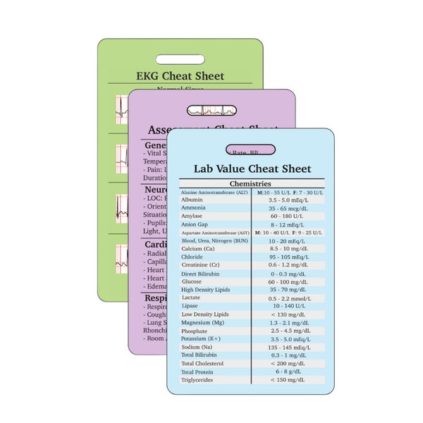 Vertical Reference Card Bundle | Head to Toe Assessment | Lab Value | EKG | Nursing Reference Card and Checklist Badge Buddy Bundle