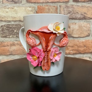Può includere: Tazza in ceramica bianca con un'illustrazione anatomica 3D di un utero e tube di Falloppio decorate con fiori rosa e bianchi.