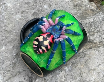 Typhochlaena Seladonia, Taza Typhochlaena, Araña Tarántula, Arácnidos, Polímero Seladonia, Typhochlaena 3d