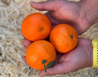 Puede incluir: Tres naranjas de color naranja brillante sostenidas en las manos de una persona. Las naranjas son de tamaños ligeramente diferentes y tienen una textura lisa y brillante.