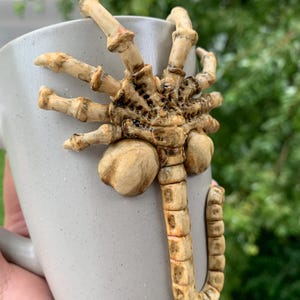 May include: A gray ceramic mug with a detailed, beige-colored alien facehugger design attached to the side. The facehugger has multiple segmented legs and a long, curved tail. The mug has a simple handle and a speckled texture.