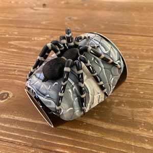 Tarantula, Tarantula Mug, Tarantula Spider, Arachnids, Tarantula polymer, Tarantula 3d