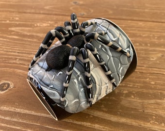 Tarantula, kubek tarantuli, pająk tarantula, pajęczaki, polimer tarantuli, tarantula 3d