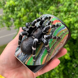 Puede incluir: Una figura de ara&ntilde;a en blanco y negro con patas a rayas descansa sobre una base colorida y estampada. La ara&ntilde;a tiene un cuerpo texturizado y es el punto focal de la imagen. La base presenta tonos verdes, naranjas y azules.