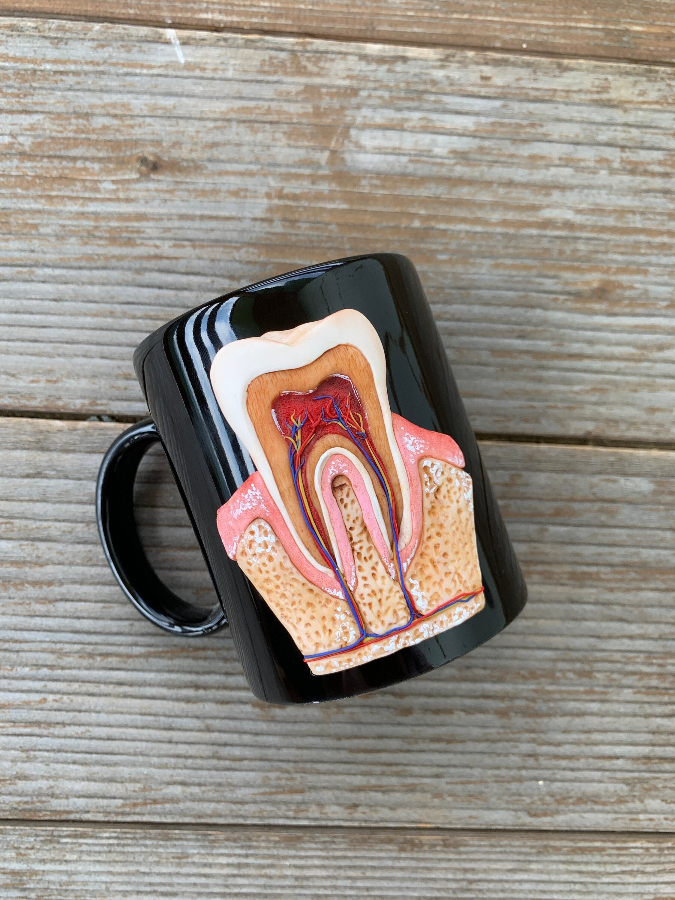 Tooth mug, Realistic Tooth, Tooth Coffee mug, Tooth cup, Dentist mug