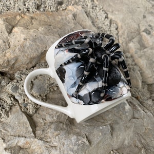 Puede incluir: Taza de cer&aacute;mica blanca con un dise&ntilde;o de ara&ntilde;a en blanco y negro. La ara&ntilde;a est&aacute; posada en el borde de la taza, con las patas extendidas. El interior de la taza tiene un patr&oacute;n en blanco y negro.