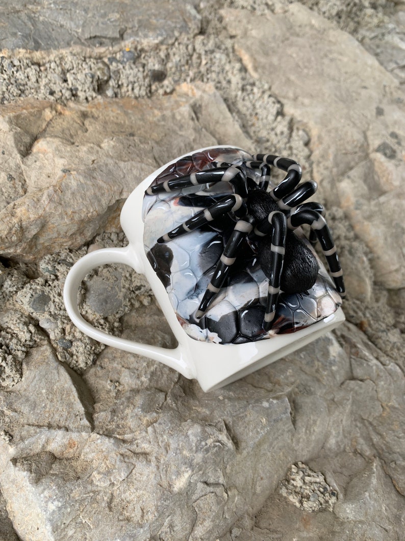 Puede incluir: Taza de cer&aacute;mica blanca con un dise&ntilde;o de ara&ntilde;a en blanco y negro. La ara&ntilde;a est&aacute; posada en el borde de la taza, con las patas extendidas. El interior de la taza tiene un patr&oacute;n en blanco y negro.