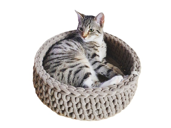 Cat basket online hotsell