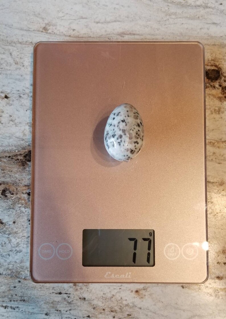 Kiwi Jasper Egg
