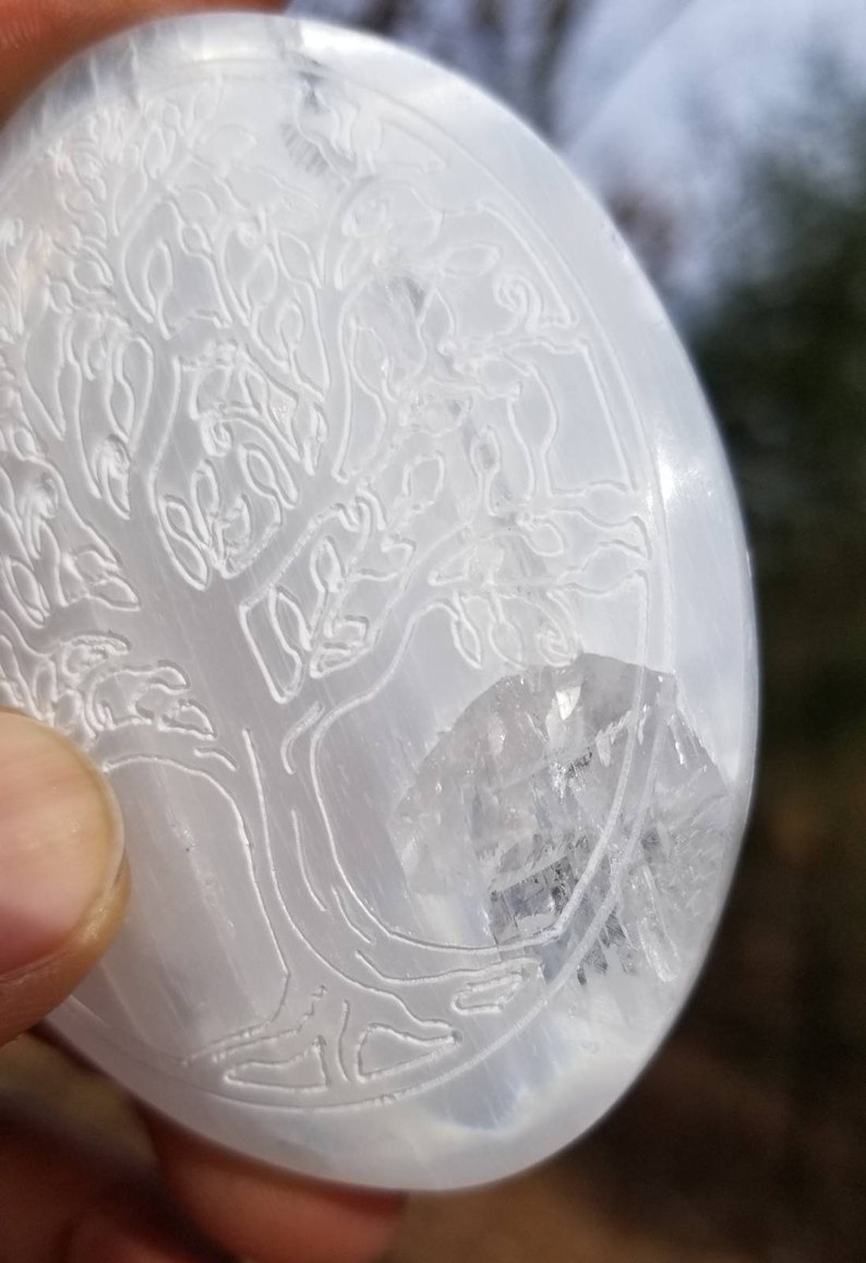 Tree of Life Selenite Palmstone
