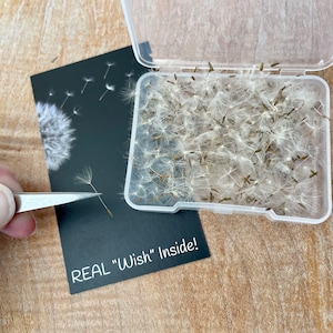 May include: A small clear plastic container filled with hundreds of white dandelion seeds. A black card with a dandelion graphic and the text "REAL "Wish" Inside!" is next to the container.