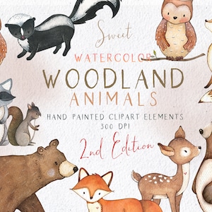 Clipart di animali del bosco, Clipart di boschi ad acquerello, Volpe ad acquerello, Orso, Cervo, Gufo, Coniglio, Puzzola, Procione, Scoiattolo, Genere neutro, Edizione 2