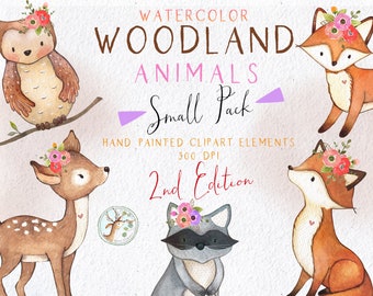 Woodland Animals Clipart, Woodland Floral Clipart, Watercolor Woodland Clipart, Forest Animals Clip Art, Woodland Nursery Art, Woodland Baby