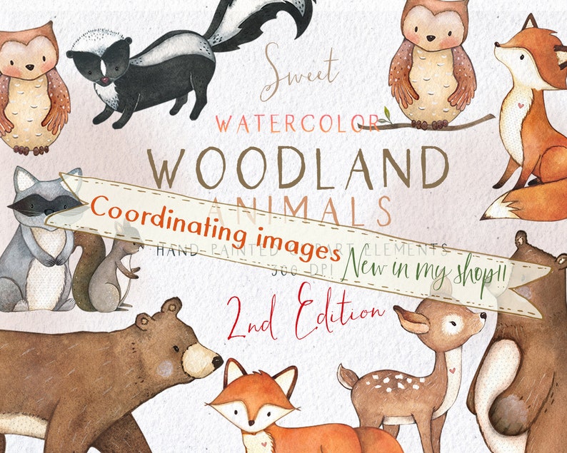 K&ouml;nnte beinhalten: Aquarell-Illustrationen von Waldtieren, darunter ein Waschb&auml;r, ein Eichh&ouml;rnchen, ein B&auml;r, ein Reh, ein Fuchs, ein Eule und ein Stinktier. Die Illustrationen sind handgemalt und perfekt f&uuml;r Bastelprojekte.
