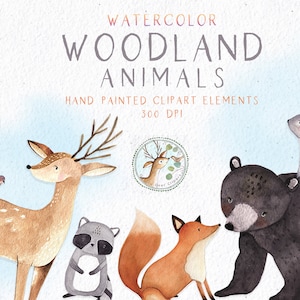 Clipart aquarelle de la forêt, clipart animaux de la forêt, clipart animaux de la forêt, clipart forêt, renard, cerf, ours, raton laveur, clipart lapin