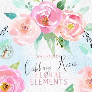 Watercolor Roses Clipart, Watercolor Cabbage Roses, Watercolor Flowers Clipart, Watercolor Peony Clipart, Blush Roses, Floral Clipart