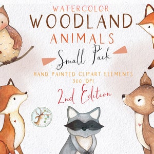 Clipart aquarelle animaux de la forêt, clipart aquarelle animaux de la forêt, renard, hibou, cerf, raton laveur Clipart, cadeau pour chambre d'enfant, petit paquet