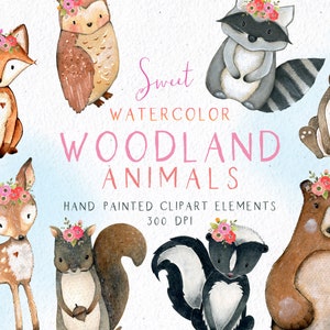 Clipart animaux de la forêt, clipart forêt, aquarelle des cliparts forêt, clipart animaux de la forêt, renard, cerf, ours, raton laveur, clipart hibou