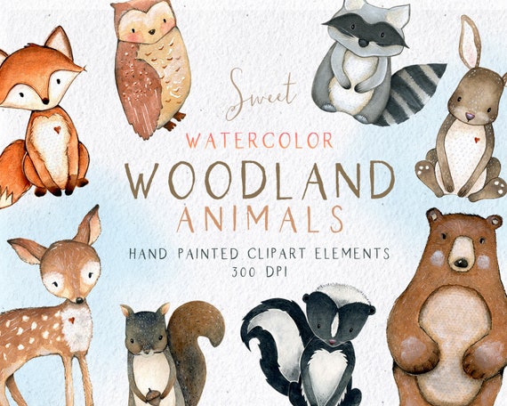 Download Woodland Animals Clipart Watercolor Woodlands Clipart Etsy