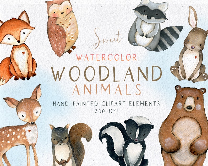 K&ouml;nnte beinhalten: Aquarell-Illustrationen von Waldtieren, darunter ein Fuchs, eine Eule, ein Waschb&auml;r, ein Kaninchen, ein Reh, ein Eichh&ouml;rnchen, ein Stinktier und ein B&auml;r. Die Illustrationen sind handgemalt und haben einen s&uuml;&szlig;en, verspielten Stil. "Sweet Watercolor Woodland Animals" und "Hand Painted Clipart Elements 300 DPI" sind im Bild geschrieben.