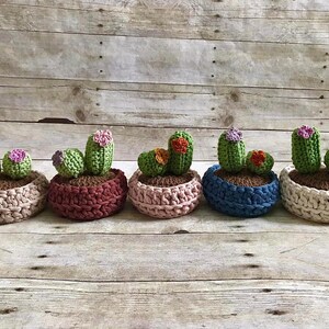 Crochet Cactus Plants (Pattern)