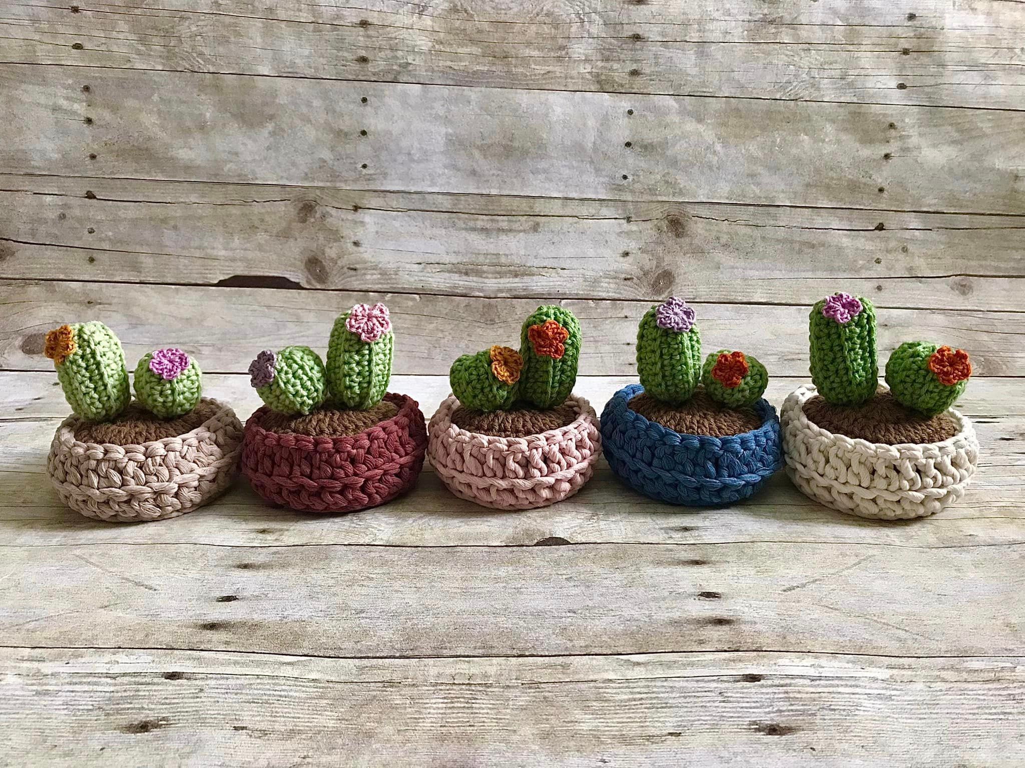 Winter cactus - Etsy België, image size:2048x1536