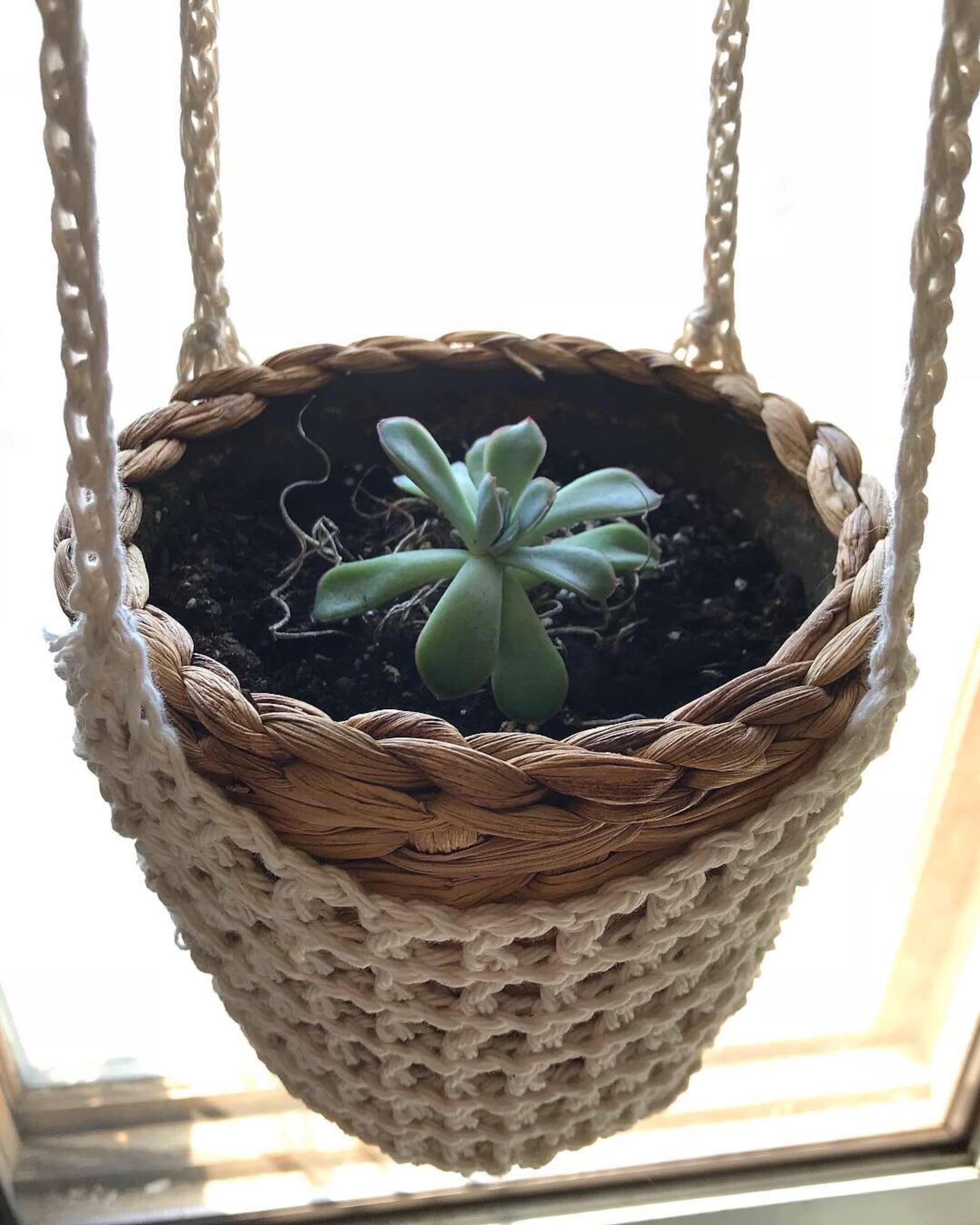 Crochet Hanging Plant Holder Etsy