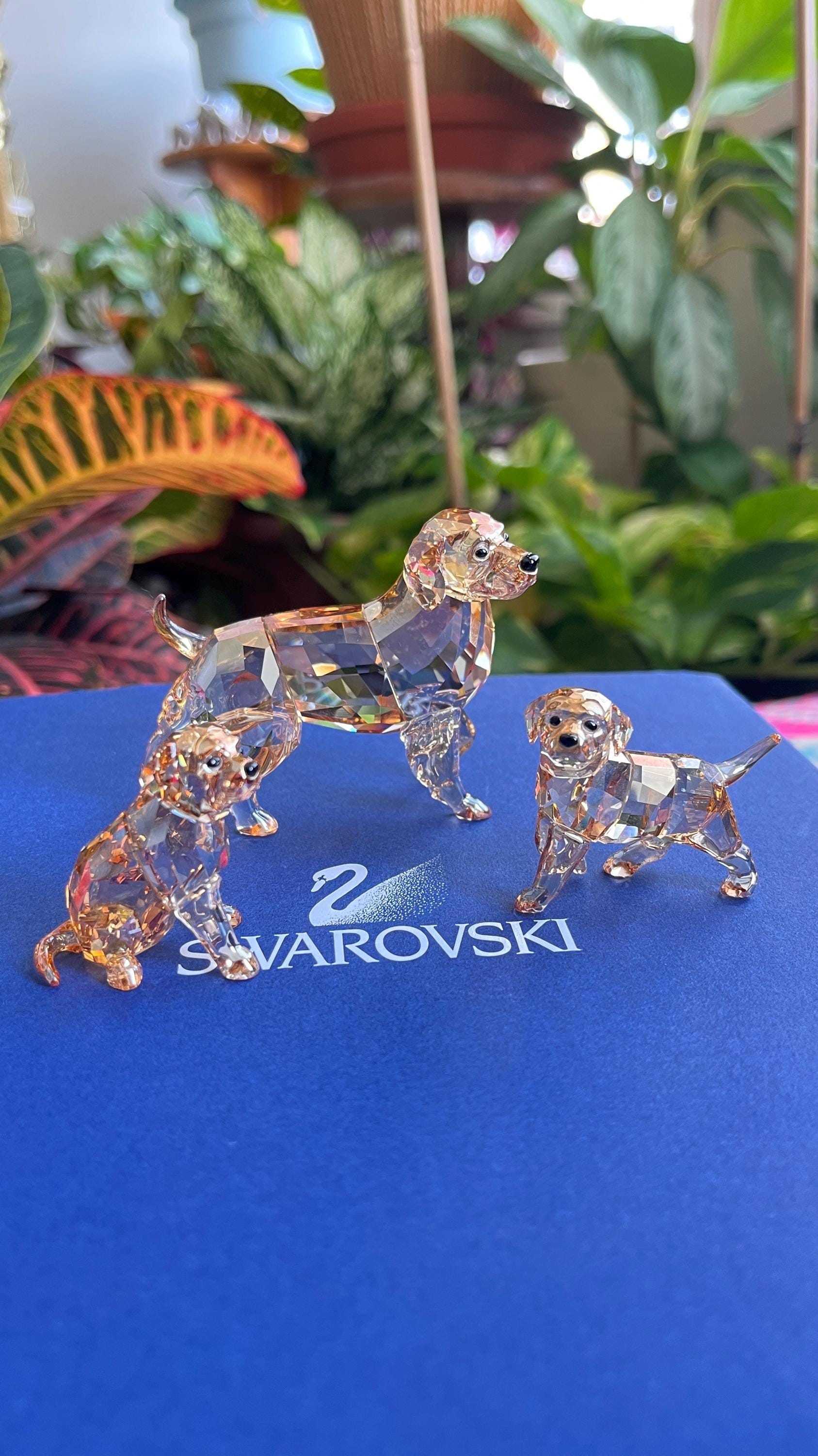 Swarovski Figurine Golden Retriever Set Mother, Puppy Standing