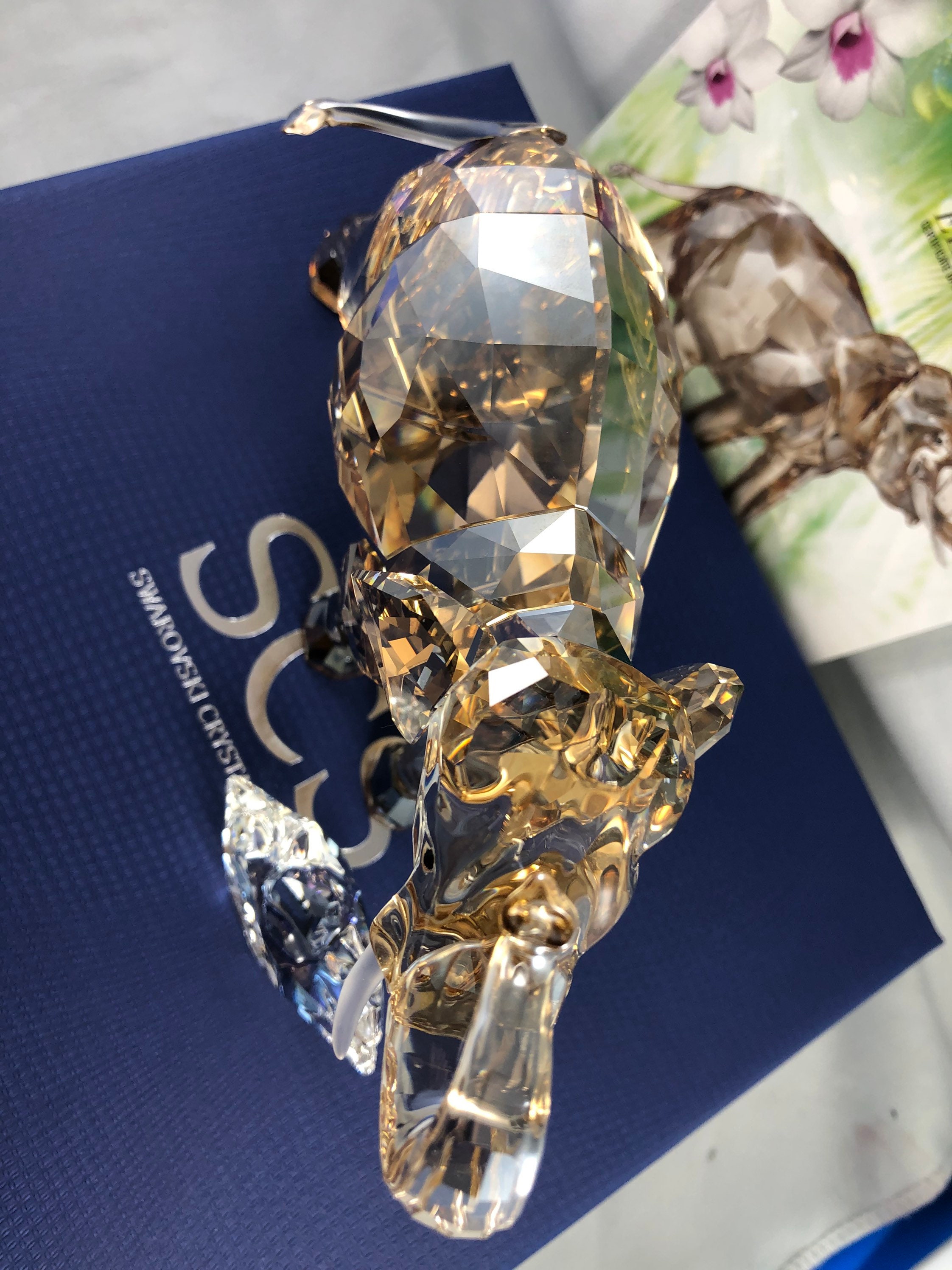 スワロフスキー　SCS 2013　ヤングエレファント Swarovski Crystal Figurine Scs Cinta Elephant 2013 Annual