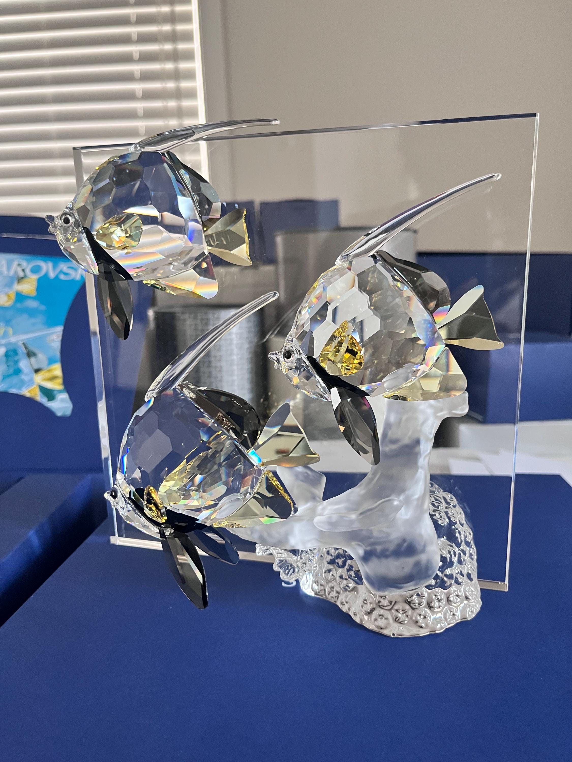 スワロフスキー 海の不思議 コミュニティー カラフルな魚たち 新品