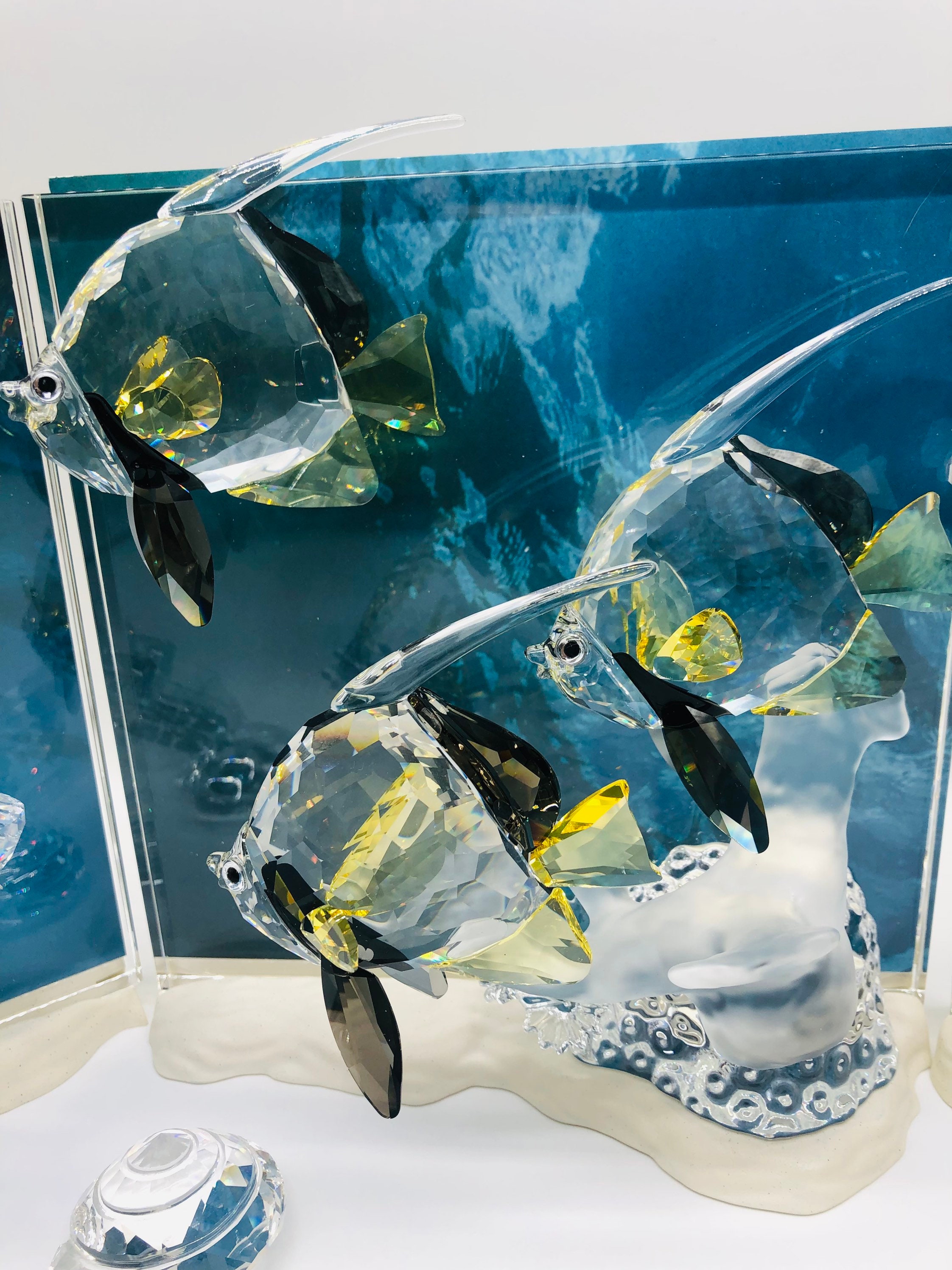スワロフスキー 海の不思議 コミュニティー カラフルな魚たち 新品