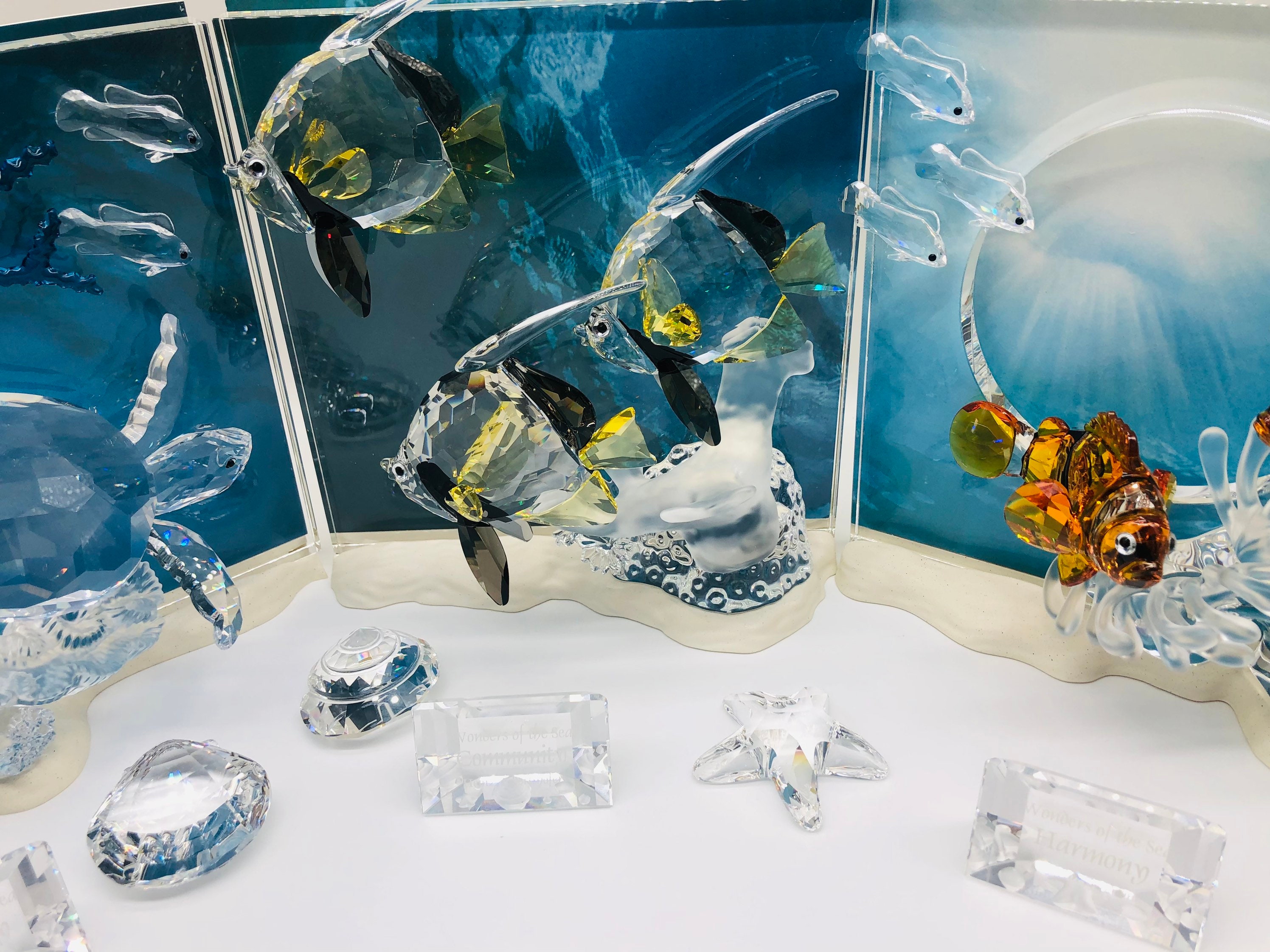 SWAROVSKI スワロフスキー Wonders of the sea Amazon.com: Swarovski Crystal Eternity SCS Wonders of the