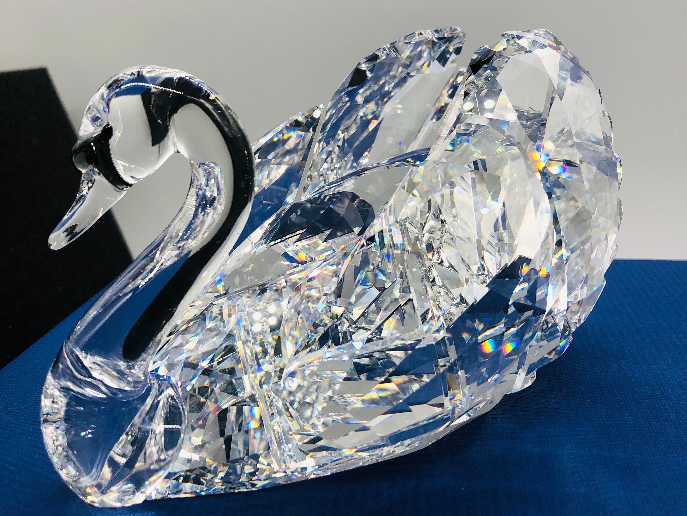 DIAMOND☆DOGS Cruising Show SWAN 81FTRYk-F7L._UF350,350_QL80_.jpg