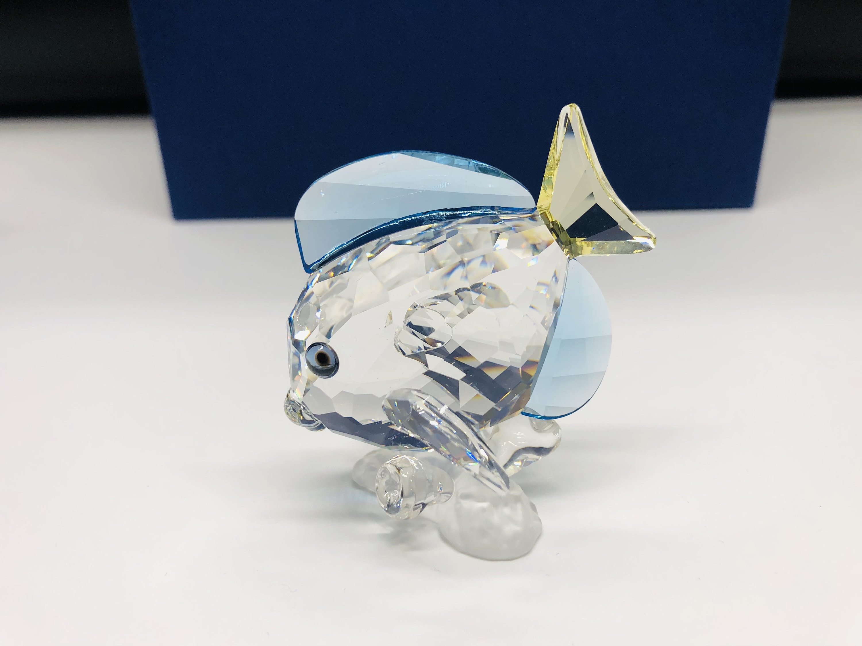 Swarovski Crystal Tang Fish: 2007 SCS Wonders of the Sea Figurine