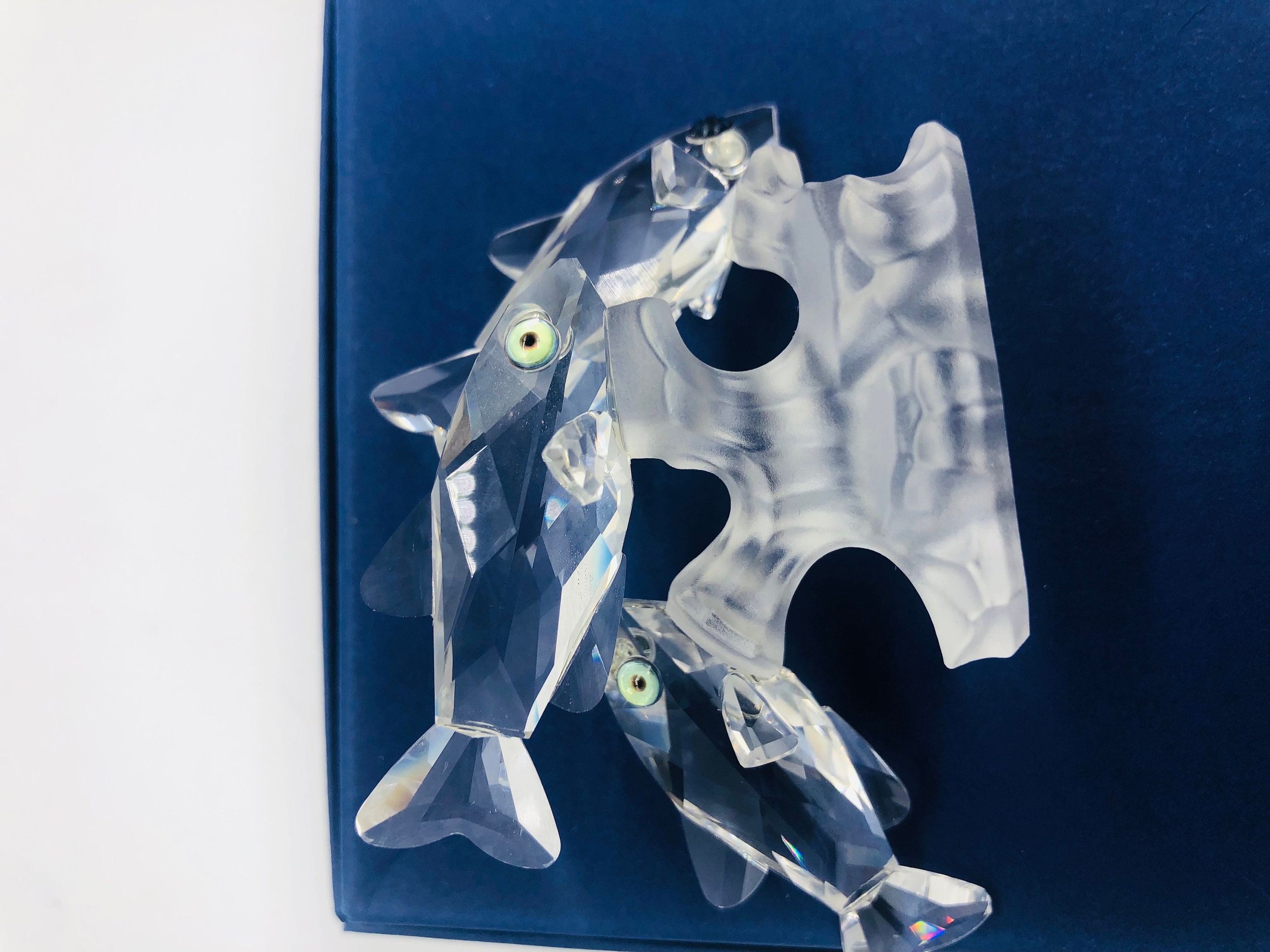 Swarovski Three South Sea Fish - 7644NR057000 - Retired - Etsy Israel