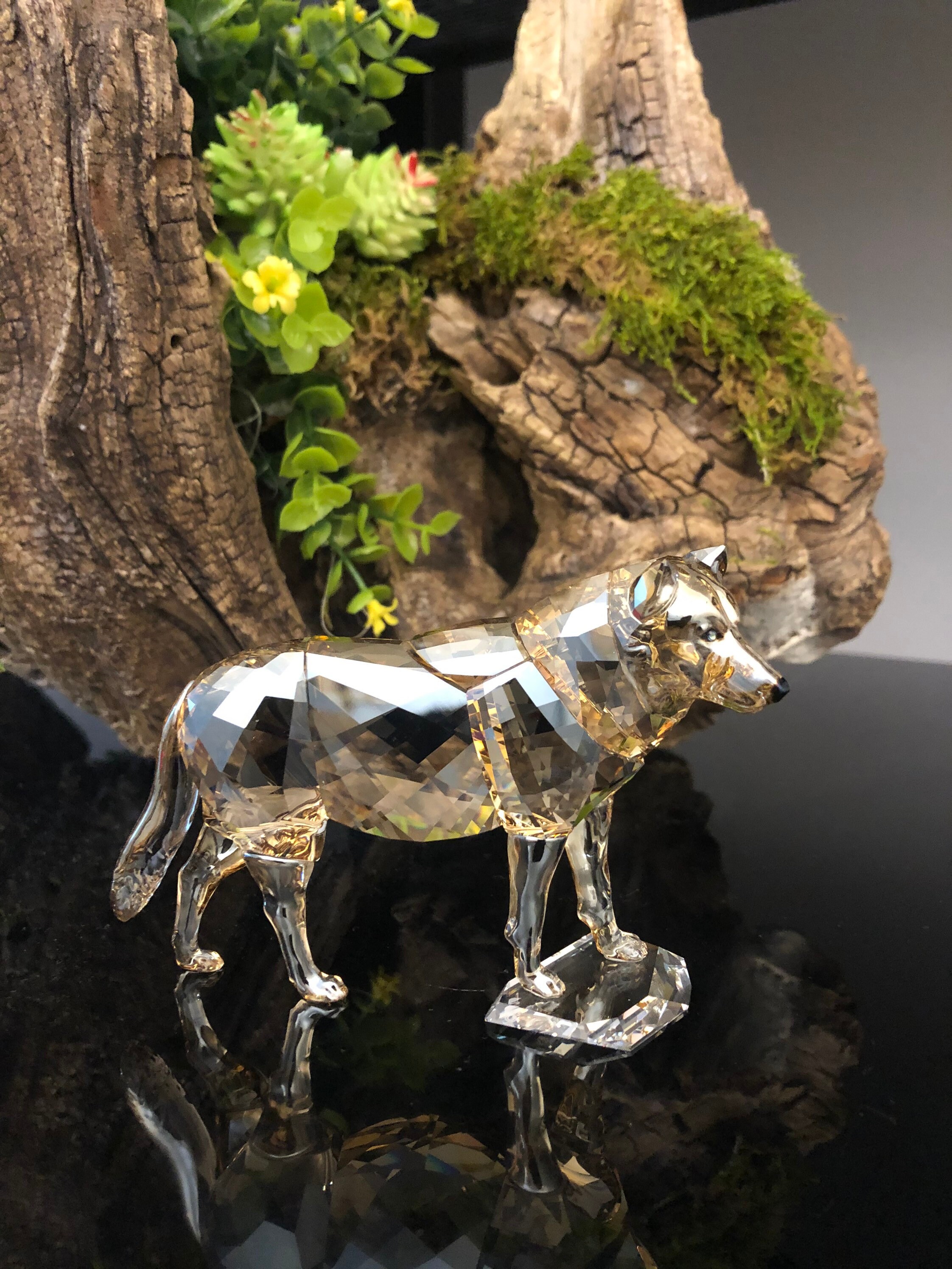 Swarovski SCS Gray Wolf, Gray & Golden Crystal Authentic MIB