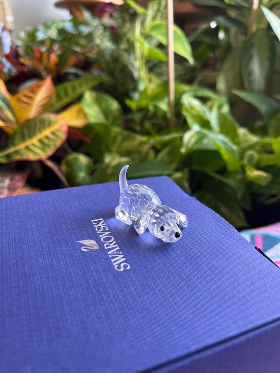 Swarovski Crystal Small Dog Figurine With Box and COA - Etsy