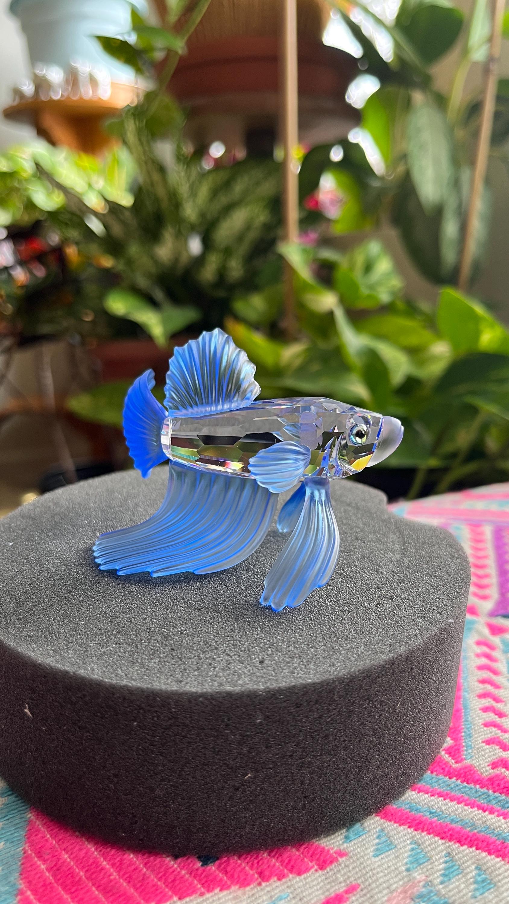Swarovski Crystal Figurine Siamese Fighting Fish Blue 236718 Mint