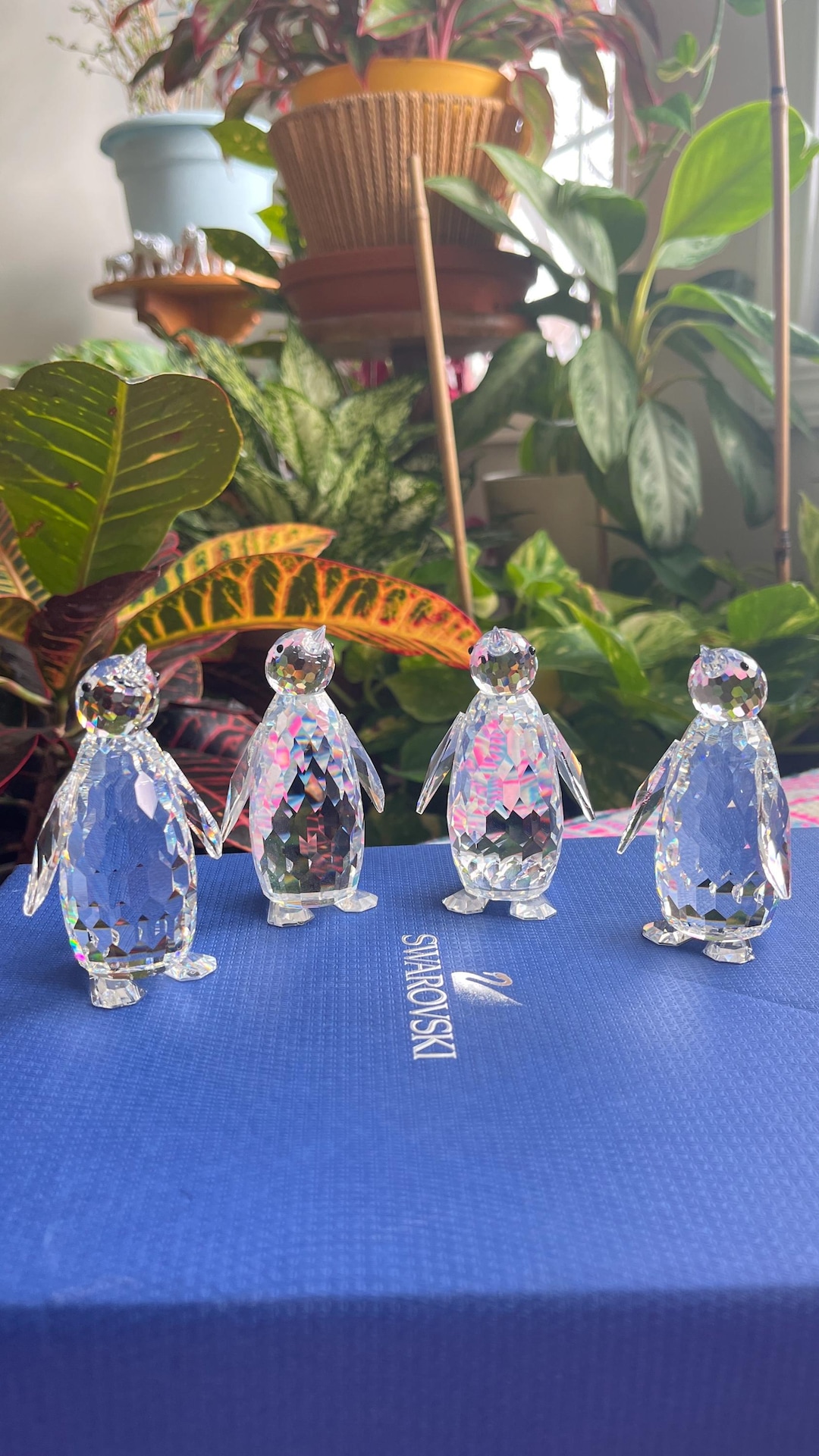 Genuine Swarovski Crystal Penguins Priced Individually Without Box