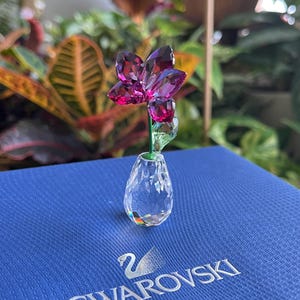 Swarovski Crystal 5254318 Flower Dreams Orchid With No Box - Etsy