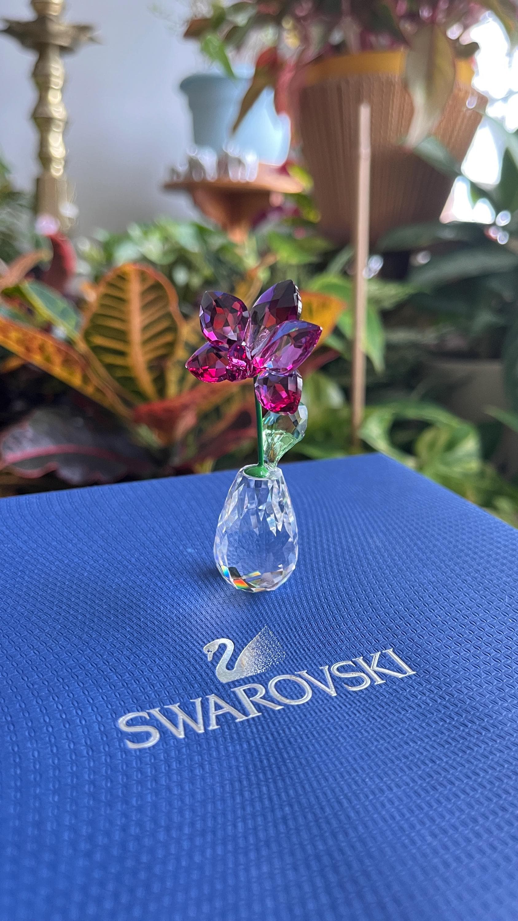 Swarovski Crystal 5254318 Flower Dreams Orchid With No Box - Etsy