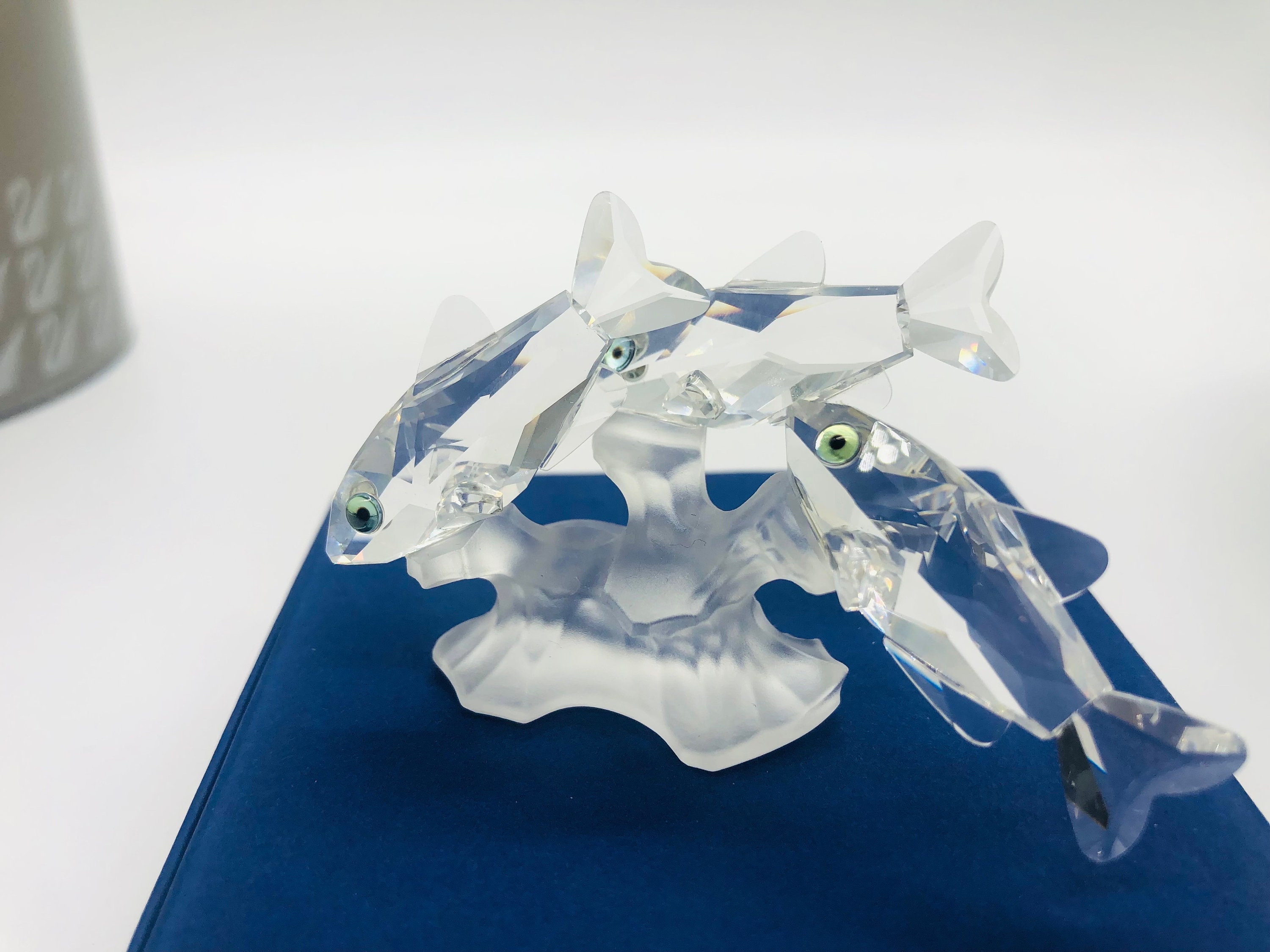 Swarovski Three South Sea Fish - 7644NR057000 - Retired - Etsy Israel