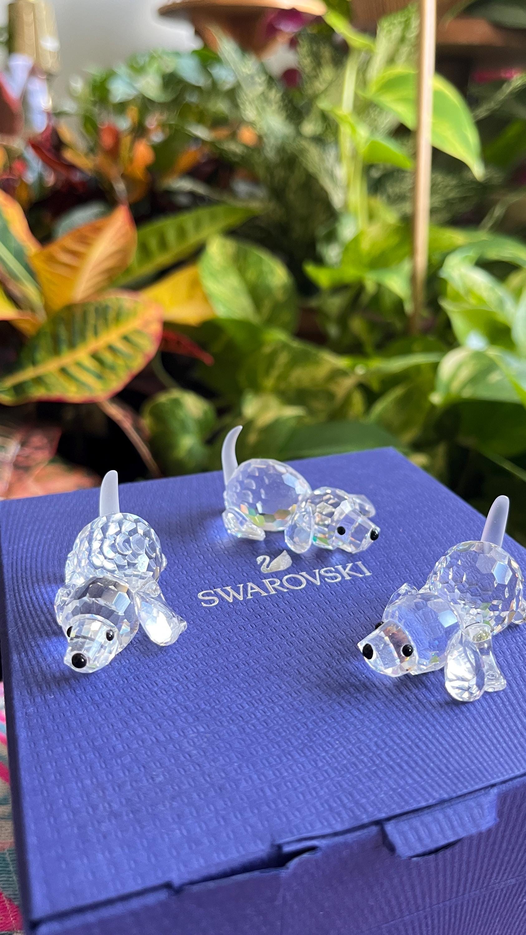 Swarovski Crystal Small Dog Figurine With Box and COA - Etsy