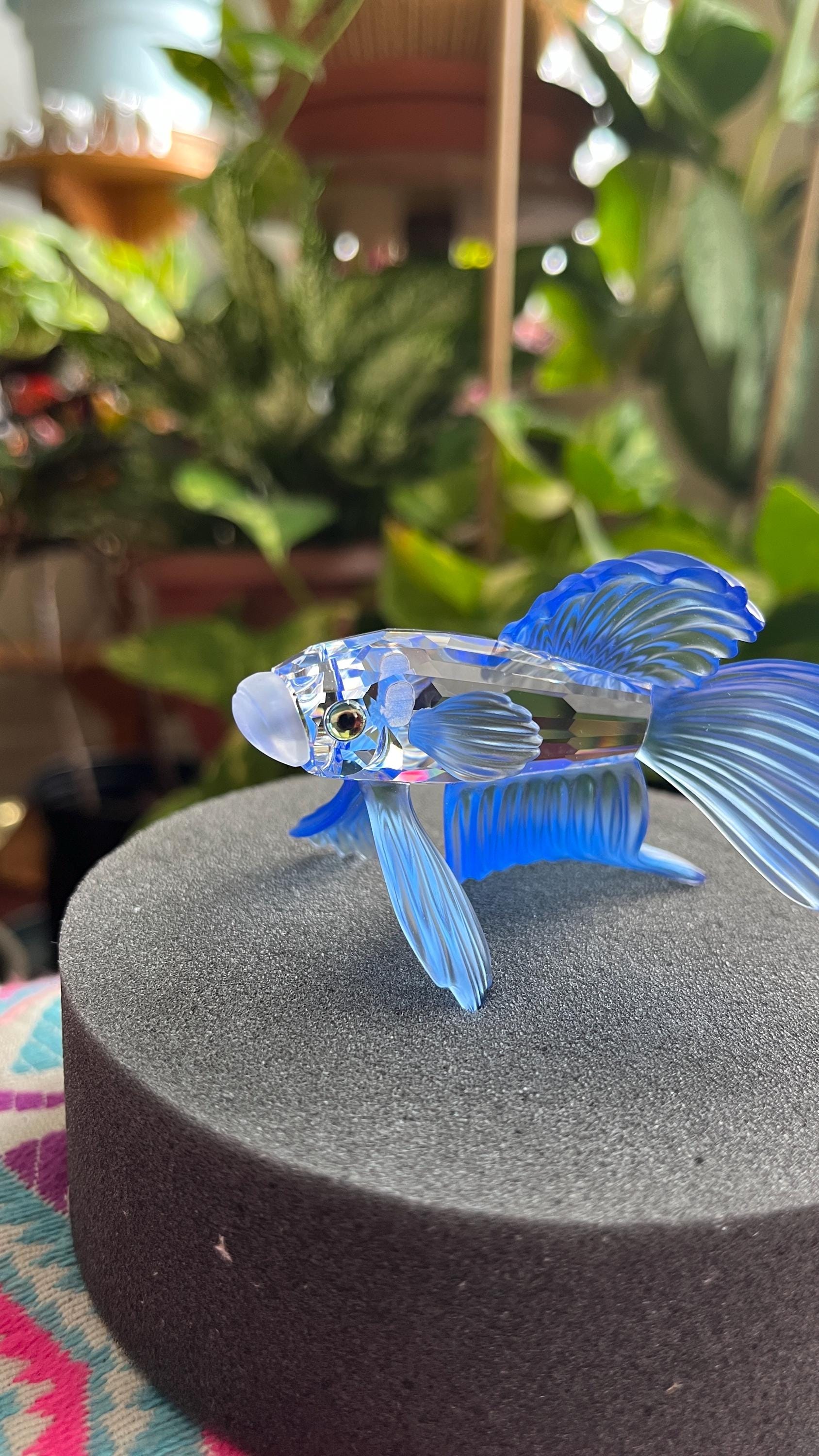 Swarovski Crystal Figurine Siamese Fighting Fish Blue 236718 Mint