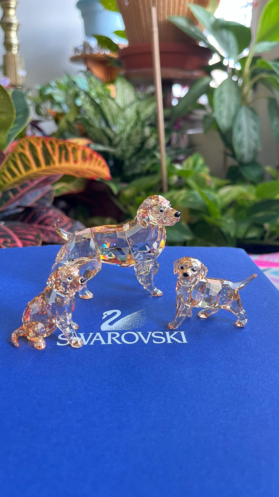 スワロフスキー SWAROVSKI ゴールデンレトリバー 犬 母 il_1080xN.7622381828_plaj.jpg