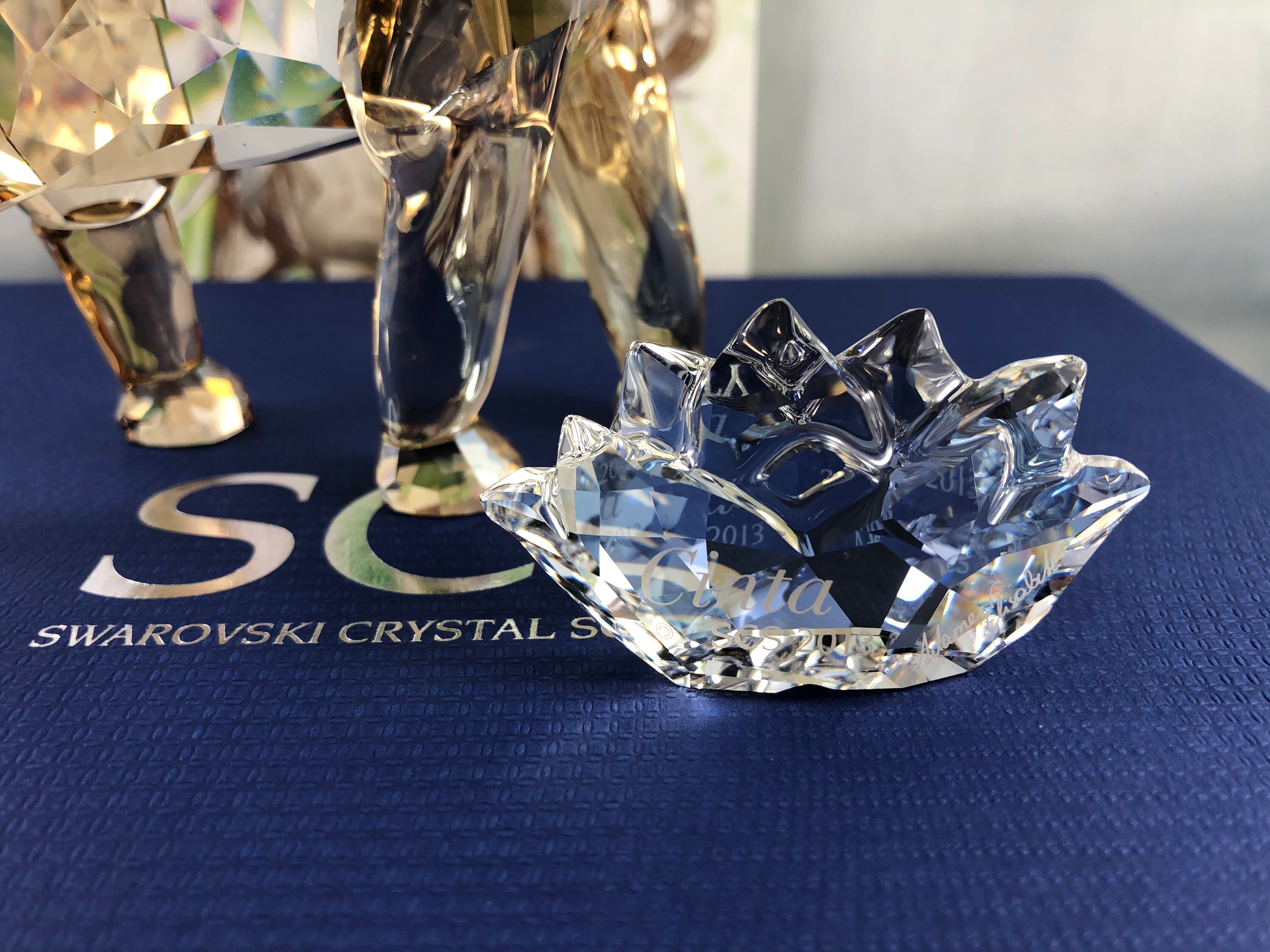 スワロフスキー　SCS 2013　ヤングエレファント SWAROVSKI 2013 SCS Annual Edition 2013 sWAROVSKI Elephant