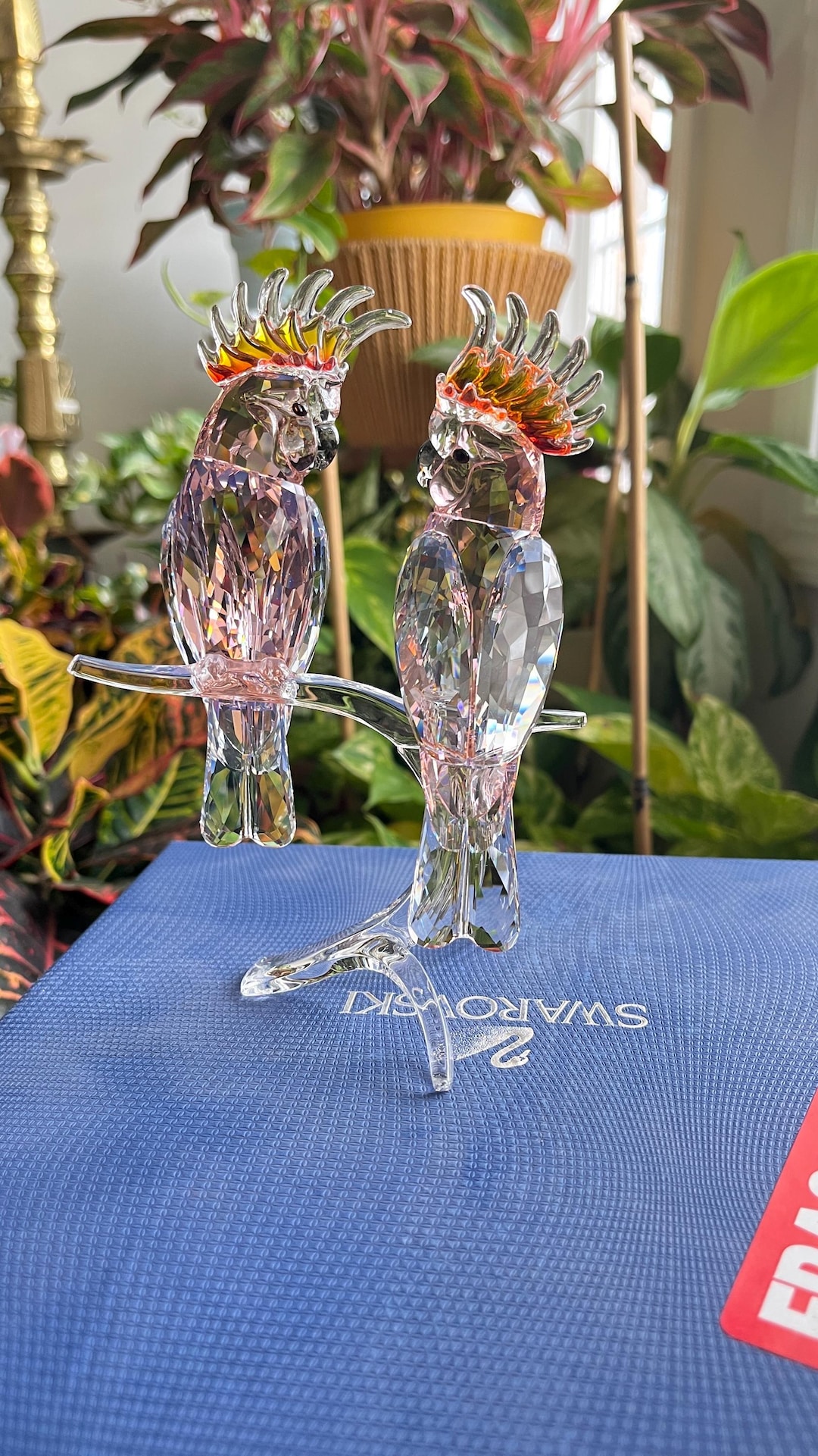 Swarovski Pink Cockatoos New in Box - Etsy