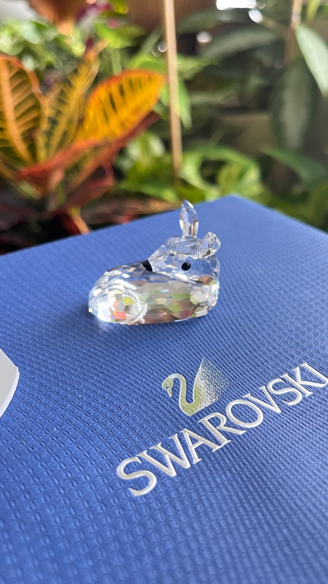 Swarovski Original Figurine Deer Fawn Lying 183271 - Etsy